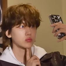 Venus Javier (viiejeibelieber)