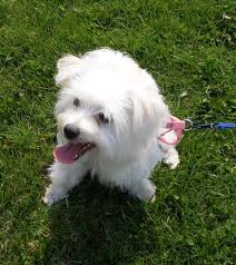 His mother, doris, died in 1996 also. Homeless Families And Their Pets Northeast Ohio Coalition For The Homeless