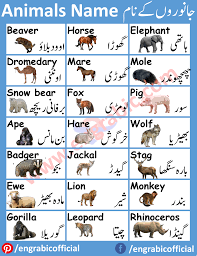 Wild Animals Names List In 2020 Animals Name List Wild Animals Name List Animals Name In English