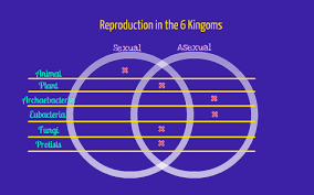 The crucial difference between sexual and asexual reproduction is that sexual reproduction requires two parents to complete the process of this leads to the higher capacity for adaptation to the changing environment and better defense mechanisms than those of asexually reproduced species. Asexual Sexual Reproduction In 6 Kingdoms And Imformation On The Human Genome Project By F F