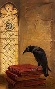 The Day Of The Jackdaw By Jo Simmons (Author), Lee Cosgrove (Illustrator) |  Parrot Street Book Club