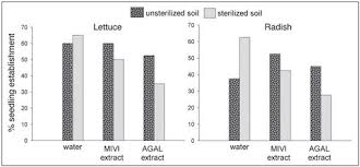 Image result for Microstegium fasciculatum