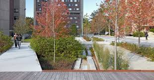 Stephen Stimson Associates University Of Massachusetts Rain Garden Design Landscape Design Landscape Projects