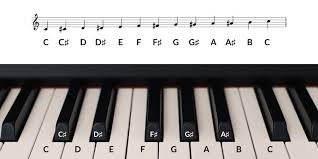 All piano keys and notes. Reading Piano Notes Timing And Dynamics Flowkey