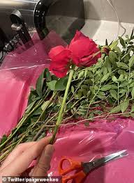 I ordered flowers for a friend but this is not my first time using eflorist, i've used them for mothers day also. Social Media Users Complain Their Valentine S Day Flowers Are Delivered Damaged Daily Mail Online