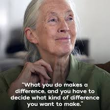 Suggestions for padding floor for ch kitty?