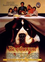 20th century fox film corporation (104). Fascinating Facts About Dog Movie Stars You Probably Don T Know
