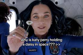 Katy Perry Holding A Flower