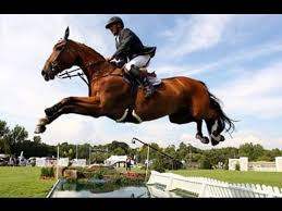 There were 4 different equestrian events. Olympic Games 2016 Equestrian Youtube