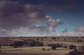 Rural Property Services Edwin Thompson