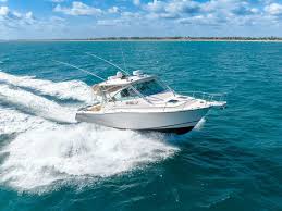 Image result for White Grape 2007 S-Max