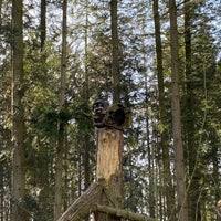 Der biotopwildpark anholter schweiz befindet sich in isselburg im münsterland. Biotopwildpark Anholter Schweiz 5 Tips