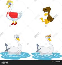 Maybe you would like to learn more about one of these? Cartoon Birds Image Photo Free Trial Bigstock