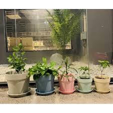 We did not find results for: Terracotta Pot Prices And Online Deals Aug 2021 Shopee Philippines