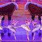 Armour Dance Theatre & New World School of the event image
