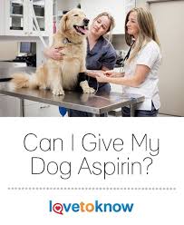 Aspirin Dosage For Dogs Lovetoknow Aspirin For Dogs Pets Dogs Breeds Dogs
