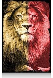 We did not find results for: Aslan Gs Hepsiburada