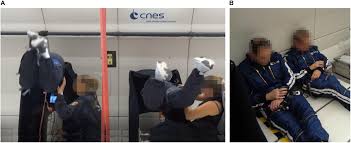 We have experienced writers in over 70+ disciplines for whom english is a native language and will easily prepare a paper according to your requirements. Frontiers Impaired Attentional Processing During Parabolic Flight Physiology