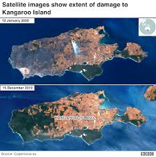 Learn about kangaroo island using the expedia travel guide resource! Australia Fires Apocalypse Comes To Kangaroo Island Bbc News