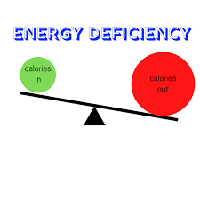 Image result for Energy Deficit Calculation