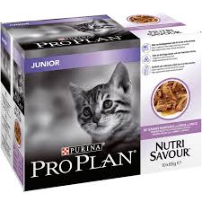 Purina Pro Plan Nutrisavour Junior Wet Cat Food Turkey In Gravy 10 X 85 G Pack Of 4 Learn More By Visiting The Image Link Cats Cat Food Cat Pet Supplies