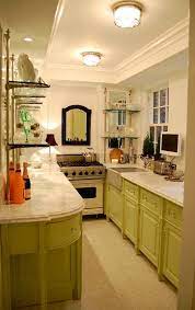 Fabulous Galley Kitchen Green Cabinetry Mixed With European Shelving Simple Color Palette Beaut Galley Kitchen Design Kitchen Layout Galley Kitchen Remodel