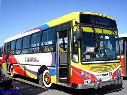 Resultado de imagen para 202 colectivo berisso