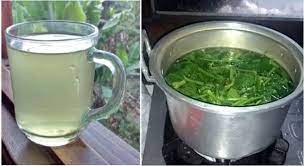Krokot tumbuh 10 hingga 30 cm tinggi dan mempunyai reddishbrown batang, daun berbentuk baji ganti, dan kelompok bunga kuning yang mengandungi 4 hingga 6 kelopak yang mekar pada musim panas. Jom Cuci Buah Pinggang Dengan Petua Menjimatkan Wang Ini Pesona Pengantin