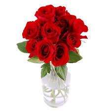 We did not find results for: 11 Red Roses With Vase Valentine S Day Womens Day Cyprus