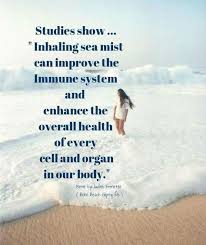 Yes I M At The Beach Doctor S Orders Beach Quotes Ocean Quotes I Love The Beach