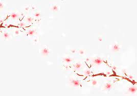 Cherry Blossoms Falling Material Cherry Blossom Clipart Sakura Creative Falling Cherry Blossoms Png Transparent Clipart Image And Psd File For Free Download Flor De Cerejeira Flor De Cerejeira Arte Flores De