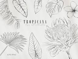 Free Free 227 Tropical Flower Leaves Svg SVG PNG EPS DXF File