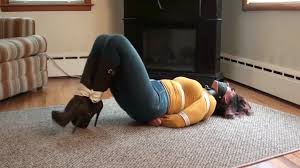 BoundHub - SAHRYE BOUND AND GAGGED IN JEANS