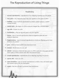 That's why we have entry tests for all applicants who want to work for us. Lesson 4 3 Life Science Reproduction Meiosis Pdf Free Download
