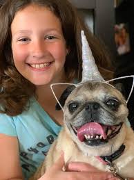 Not sure how our family managed before we had our Nora. She is such a sweet  girl.