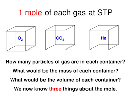 Chapter 19 Avogadro S Principle Ppt Download