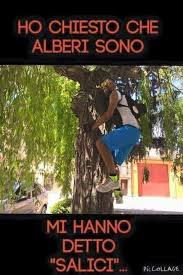 3 battute per far ridere chiunque. Be Cosa Fare Ridere Divertente Battute Divertenti Immagini Divertenti