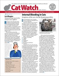 Answering the question, how long do cats live for, is not as simple as one might think! The Telling Sign Of Fatty Liver Disease In Cats Catwatch Newsletter