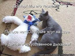 Котоматрица: Доктор! Мы его теряем! и делайте искусственное дыхание! Пульса  нет! Ослабьте