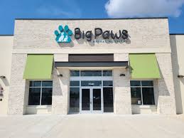 We did not find results for: Lakewood Ranch On Twitter Welcometotheranch Dr Siems Big Paws Animal Hospital Big Paws Animal Hospital A Full Service Animal Hospital Practicing Routine Advanced Medical Care Is Now Open 7341