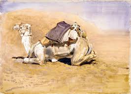 Make sure to book ahead for the best deals. Camel In Full Marching Order Nzhistory New Zealand History Online