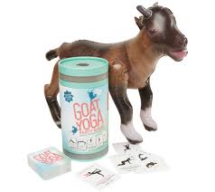 Answer this question about our latest pick, the fault in our stars by john green, for a chance to win a prize: where do hazel and augustus share their first kiss?submit your response on twitter with the hashtag #todaybookclub, and make su. Kikkerland Goat Yoga Party Game Qvc Com