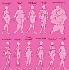 Argau Female Body Type Chart