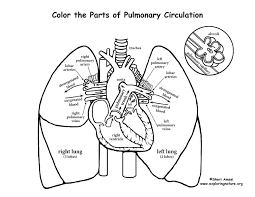 Any ideas on how to make one any ideas on how to make one 10 years ago cheap rf modules for this sort of thing, transmitting on 433 mhz are available. Lungs Coloring Pages Coloring Home