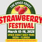 Strawberry Festival