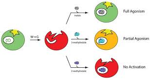 When east germany became communist during the cold war they used guns from the soviet union. Homepage Center For Computational Biology