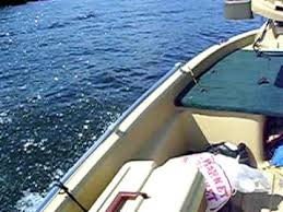 Party boat fishing at crazy sister marina is the best time you will ever have! Sun Dolphin Pro 120 Bass Boat Youtube