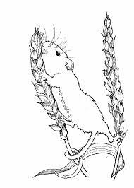 dessins gratuits a colorier coloriage animaux sauvages imprimer animal coloring pages mouse drawing patte patrouille insigne everest