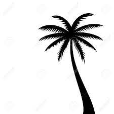 Coconut tree free vector we have about (5,925 files) free vector in ai, eps, cdr, svg vector illustration graphic art design format. Coconut Palm Tree Vector Silhouette On White Background Royalty Free Cliparts Vectors And Stock Illustration Image 126509737