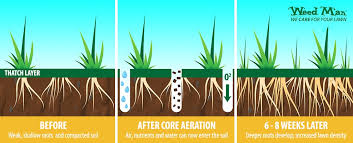 We can now pull a 2.75″ core with ideal soil conditions! Aeration Lawn Care Services Weed Man Durham Region